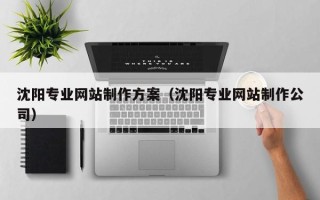 睢县沈阳专业网站制作方案（沈阳专业网站制作公司）